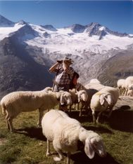 Venite a scoprire la Zillertal in atmosfera di festa, quandi i malgari fanno lo "jodeln". Vi attende un fantastico programma e un omaggio wellness.