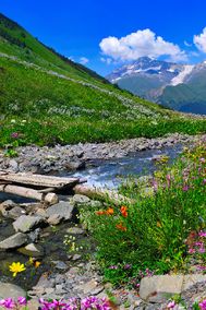 Igual s&iacute; es con familia, con amigos, solo o en pareja descubra el valle de Ziller - &iexcl;Hay mucho por descubrir! 6 D&iacute;as con la tarjeta Zillertal y un ba&ntilde;o de bienestar Wellness incluido