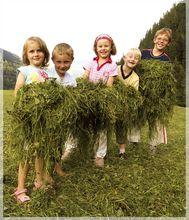 &iexcl; Tenemos club de ni&ntilde;os con asistencia todo el d&iacute;a, un superprograma para los j&oacute;venes, habitaciones muy espaciosas y adem&aacute;s rebajas para los ni&ntilde;os! Disfrute de sus vacaciones familiares en el hotel m&aacute;s bonito del Tirol: Ni&ntilde;os menores de 9 a&ntilde;os gratis en la habitaci&oacute;n de los padres.