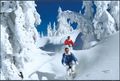Snowbike-Spa&szlig;