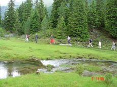 7 Wohlf&uuml;hltage mit Halbpension und Jesacherhof all inklusive &nbsp; In unseren gef&uuml;hrten Erlebniswanderungen bringen wir Ihnen die Bergwelt n&auml;her, nehmen Sie ATKIV teil am Urlaub im Jesacherhof! Aktives Erwachen von Montag bis Freitag5 gef&uuml;hrte Erlebniswanderungen und Bergtouren mit unserem Wanderf&uuml;hrer Franz&nbsp;