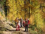 Herbst-Vital-Wochen