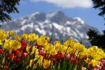 "Vacaciones de Seman Santa" Pascua en el Tirol*