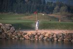 Golf " Birdie"
