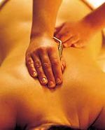 Wellness programme