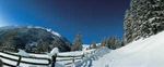 Winter dream