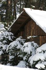 7 Tage pro Person inklusive Wellness Verw&ouml;hnpension und allen Erica Inklusivleistungen.

inkl. 6 Tage Skipass f&uuml;r das Skigebiet Obereggen