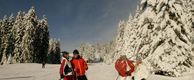 Total skiing fun at the Latemar Ski Center and pure relaxation at the Erica wellness and vitality oasis. &nbsp; Your Wellfeelingcard Advantage 5 % discount on the package price and 1 partial massage&nbsp;NEW: skipass for 3 days&nbsp; ( the days are free selectable)