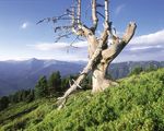 "Romeo & Juliet Days" incl. Comfort Board per room from &euro; 641.- per person
