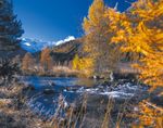 November Days Sunday-Thursday