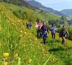 Fit in den Sommer. Nordic Walking ist ein Ganzk&ouml;rpertraining und verbessert die k&ouml;rperliche Fitness durch gelenkschonendes Training. Gef&uuml;hrte Nordic Walking Touren inklusive...