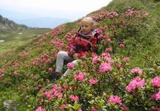 Erleben Sie das Erwachen der Natur im Tal der Almen. Erleben Sie ein buntes Farbenspiel von Moosglöcken, den Blauen Enzian, der Almrosenblüte inklusive Top-Wellnessangebote und Wellnessgutschein.. Erleben Sie das Erwachen der Natur im Tal der Almen. Erleben Sie ein buntes Farbenspiel von Moosglöcken, den Blauen Enzian, der Almrosenblüte inklusive Top-Wellnessangebote und Wellnessgutschein..