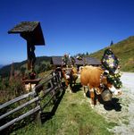 Bauernherbst im ,,Tal der Almen" | Do-So