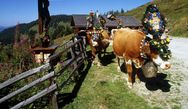 Regionale K&ouml;stlichkeiten - gelebte Volkskultur zur sch&ouml;nsten Wanderzeit des Jahres. Selbstgemachte K&ouml;stlichkeiten auf den Almen w&auml;hrend einer wundersch&ouml;nen Wanderung mit reiner klarer Bergluft, endloser Fernsicht, und tiefblauen Bergseen.1 Tag GRATIS !!!