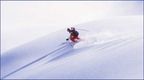 Perfect ski runs, fun and relaxation! Make you marks in the fresh snow!  And relax in the beautiful Edelweiss residence.