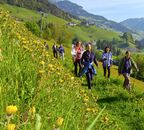 Take a deep breath of fresh mountain air. Flowering fi elds and tempting Alm hiking destinations. Enjoy the fascinating view of the Tauern panorama and the legendary Grossarler Almjause. Then relax in the large Edelweiss sauna and bathing area.