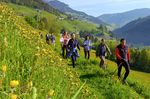 Edelweiss hiking weeks