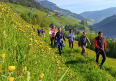 Camminare nella valle degli alpeggi, la valle di Gro&szlig;arl vuol dire 
riposarsi nel pi&ugrave; vero senso della parola! 

