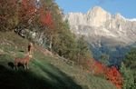 Gleich dem Fluss der sich st&auml;ndig &auml;ndert und doch derselbe bleibt, verl&auml;uft auch das Jahr hier.
Jetzt ist Herbstzeit und die Wanderv&ouml;gel kommen ins Schw&auml;rmen - wenn auf den Berggipfeln die Sonne 
erstrahlt und unser Wanderf&uuml;hrer Ignaz seinen Rucksack packt, um mit Ihnen zu wandern!