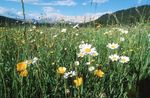 Le giornate primaverili all'Engel: sul lato pi&ugrave; soleggiato della vita.