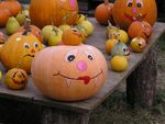 Halloween und Herbstferien im Engel vom 29.10. - 02.11. oder vom 02.11. - 06.11.2008