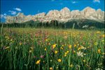 Una vacanza estate nelle meravigliose Dolomiti...con quel po'di pi&ugrave; che solamente l'Engel Vi pu&ograve; offrire!