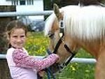 Die bezaubernde Landschaft der Dolomiten und Reiten als Erlebnis der besonderen Art.