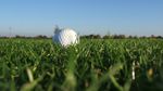 5 STERNE F&Uuml;R EINEN BIRDIE