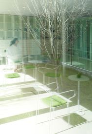 Genie&szlig;en Sie ein paar entspannte Tage in unber&uuml;hrter Natur gepaart mit Wellnessbereich und SPA!

Zus&auml;tzlichen erhalten Sie einen Fluggutschein im Wert von Euro 100,00!