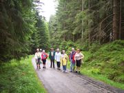Weite T&auml;ler, Panoramafernblicke, gem&uuml;tliche Vesperstuben. Entdecken Sie den Schwarzwald von seinen sch&ouml;nen Seiten bei unseren z&uuml;nftigen Touren. Mai, Juni, ab 497,00 Euro 7 Tage
