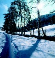 Raus aus der Stadt, aus der Hektik, dem Schneematsch. Freuen Sie sich auf eine m&auml;rchenhafte Winterlandschaft mit gesundem Vergn&uuml;gen.7 Tage Aktivurlaub im Januar, Februar und M&auml;rz 2010 ab 476,00 Euro o, Komfortdoppelzimmer Sattlei
