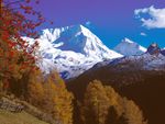 Autunno dorato in Valle Aurina