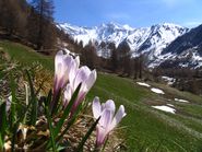 Un tuffo nella primavera di montagna della Valle Aurina