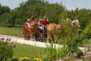 Sonnelino Special-Weekends - 4 giorni (11.05. - 01.06. / 31.08. - 14.09.)