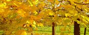 Traumhafte Herbstwochen in den Dolomiten