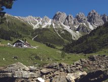 Nature Watch Tage | 4 I